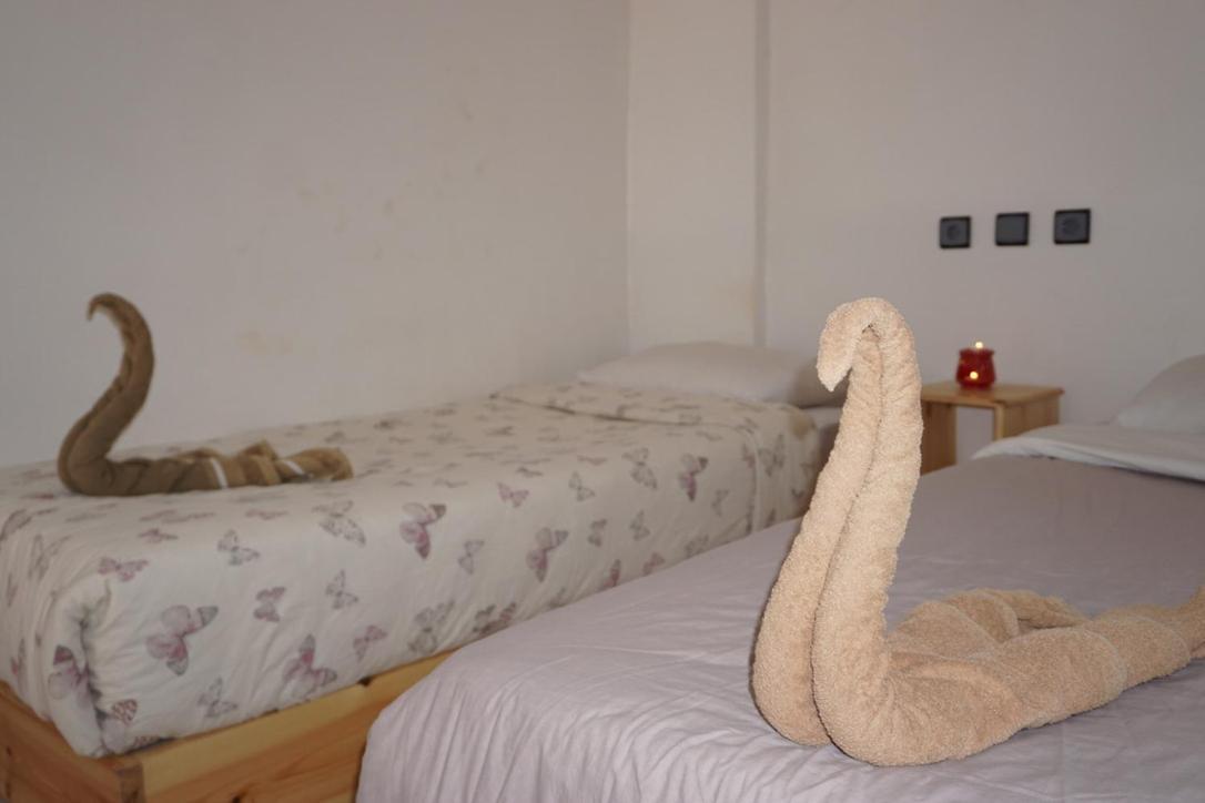 Hostel The Endless House Anchor Point Taghazout Zewnętrze zdjęcie